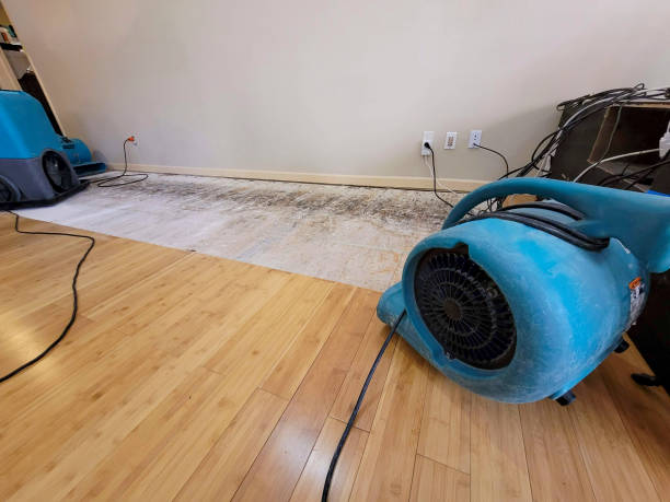 Professional Water Damage Repair technician working in Corinne, UT